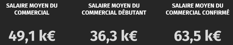 Le Salaire Des Commerciaux En 2015 | Le Blog De L'école Euridis